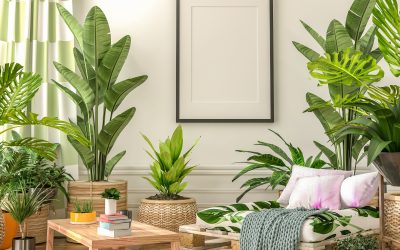 Embracing Greenery: A Guide to Incorporating Plants into Your Home
